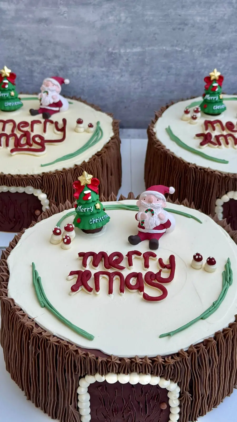 Christmas celebration cakes with chocolate buttercream, Santa and Christmas tree decorations, and festive lettering.